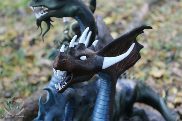 Kraken 5 at