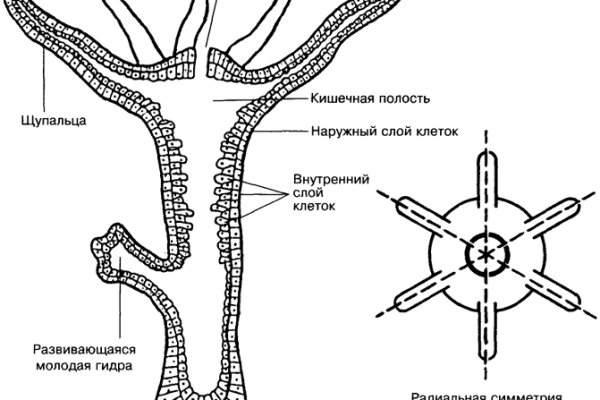 Кракен супернет тг