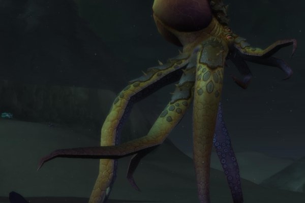 Kraken mirror