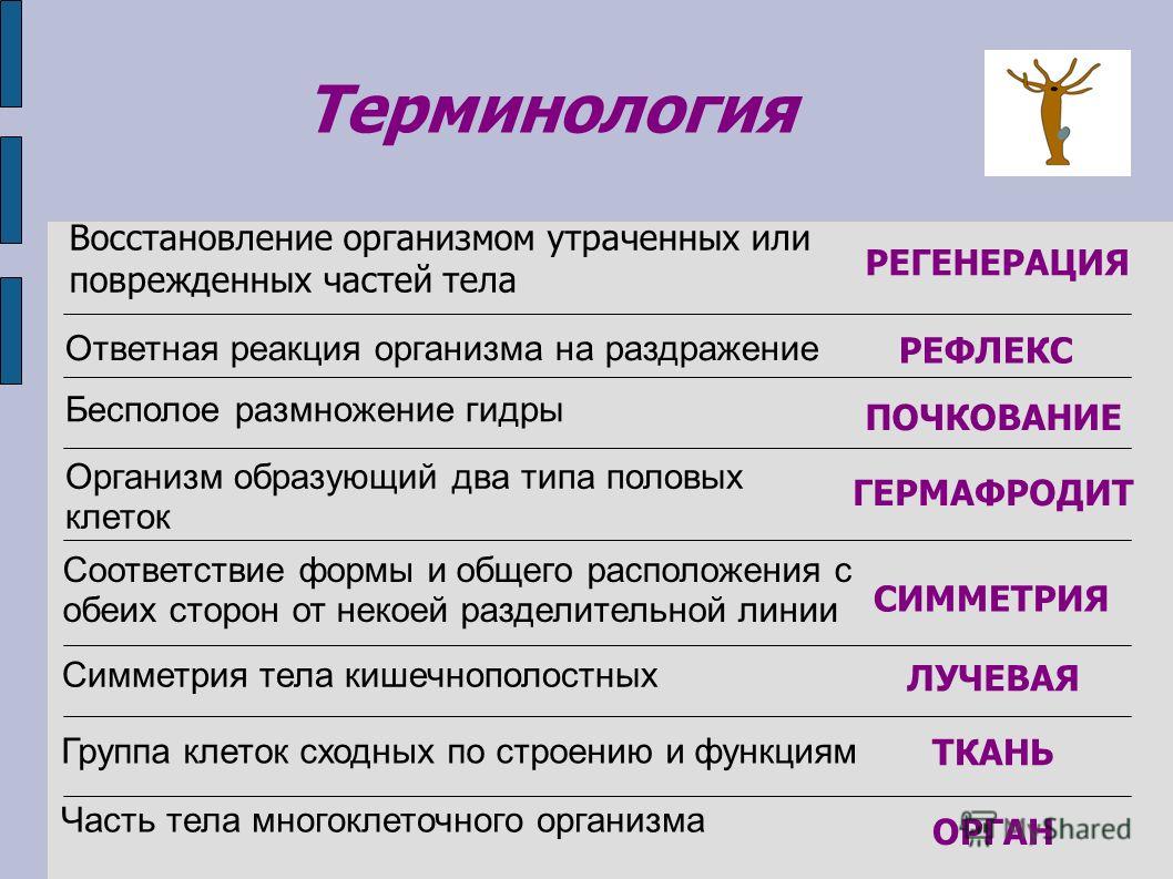 Кракен супернет krawebes